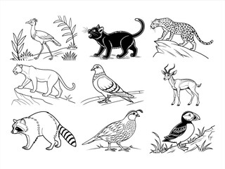 coloring page line art the animal and bird black vector bundle