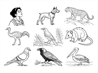 coloring page line art the animal and bird black vector bundle