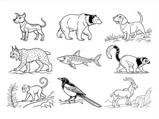 coloring page line art the animal and bird black vector bundle