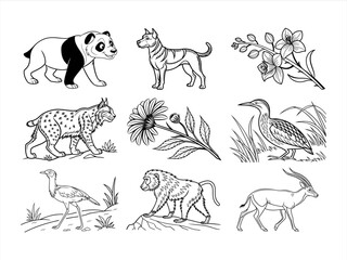 coloring page line art the animal and bird black vector bundle