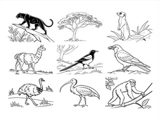 coloring page line art the animal and bird black vector bundle