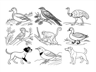 coloring page line art the animal and bird black vector bundle