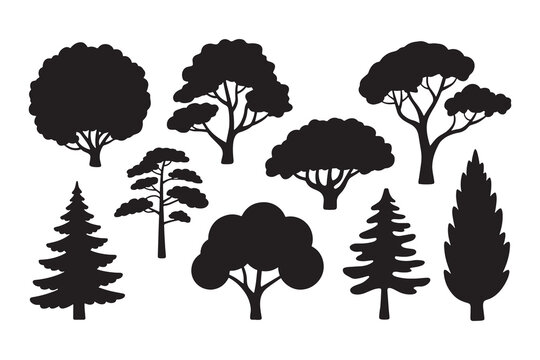 Collection of black silhouettes various trees nature forest	
