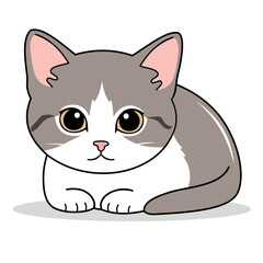 Gatinho fofo deitado