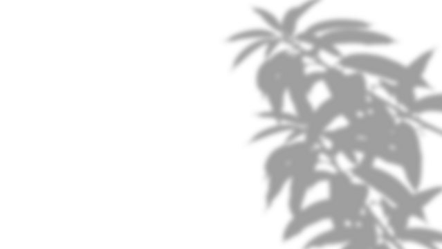 Soft Shadow of a Multi-Leafed Branch isolated on a transparent background - Powered by Adobe