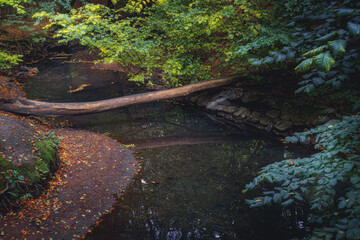 A tranquil, overhead photograph of a narrow, dark stream or pond in Ramlosa Brunnspark,...