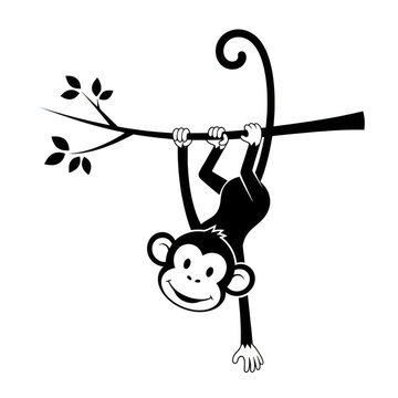 A smiling monkey hanging upside down from a branch isolated on transparent background