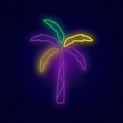 Neon vector illustration of a palm