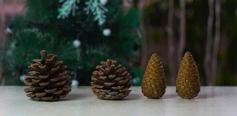 a row of juniper berries stands.