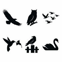 Collection of bird silhouettes and icons