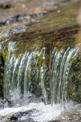 Ruissellement de l’eau sur la mousse