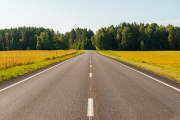 country road in the countryside