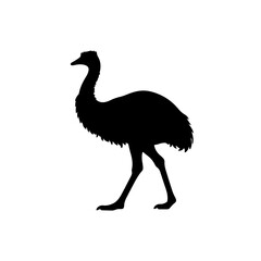 Fototapeta premium Emu Silhouette Icon – Minimal Black Vector on Transparent Background