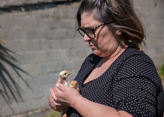 Detalhe de mulher madura carinhosa com pintainho rec&eacute;m-nascido. 