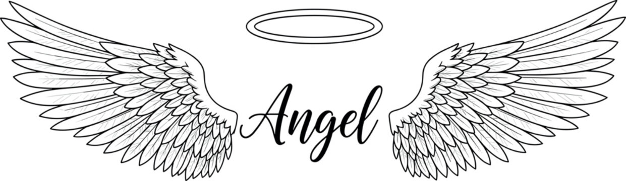 Detailed black and white line art vector illustration of a pair of large angelic wings with a halo and elegant script text "Angel," symbolizing spirituality, purity, and freedom design.