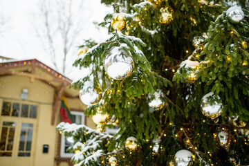 Snow-covered Christmas tree decorated with golden ornaments and warm lights in a quiet city park. A peaceful winter scene in Vilnius, full of seasonal stillness and glow.
