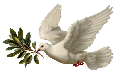 Peace dove carrying olive branch in beak transparent image. Flying bird with realistic shading isolated cutout. Faith hope symbol. Spiritual pigeon cut out clipart design element png