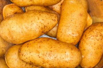 Raw yellow potato tubers in stainless steel bowl close-up