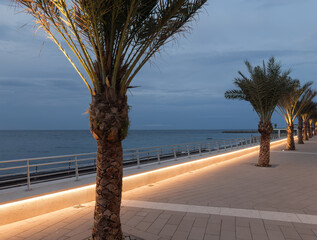 Date palms on embankment against sky and sea at evening