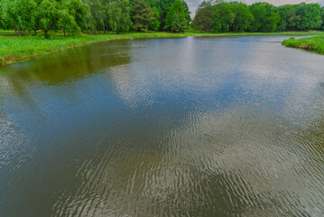 A pond in a spring park on a sunny day.