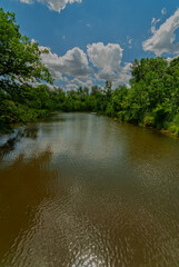 A pond in a spring park on a sunny day.