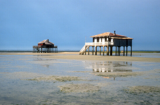 Cabane tchanqu&eacute;e, Ile aux Oiseaux, La Teste de Buch, Bassin d'Arcachon, 33, Gironde, France