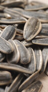 Sunflower seeds rotating close-up studio shot