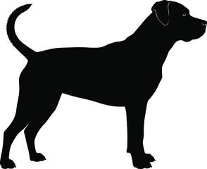 Standing Dog Silhouette Side View Vector Illustration