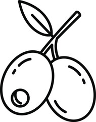 Olive Fruit Branch Vector Illustration