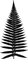Fern Leaf Botanical Silhouette Vector