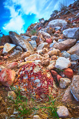 Desert Rock Texture and Colorful Stones Under Blue Sky Nevada Low Perspective