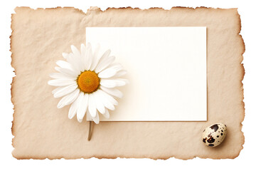 Minimalist Easter Card Mockup with Deckle Edge Paper and Single Dried Flower.