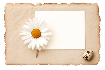 Minimalist Easter Card Mockup with Deckle Edge Paper and Single Dried Flower.