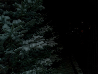 Świerki pod pierzyną śniegu w jesienną noc, ze światłami miasta w oddali.  Gałęzie wiecznie zielonych drzew są mocno obciążone śniegiem, tworząc uderzający kontrast z nocnym niebem.  © Grzegorz