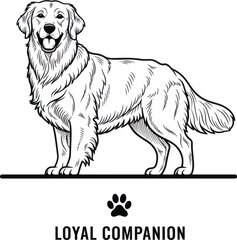 Golden Retriever Loyal Companion Dog Illustration