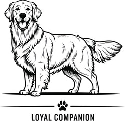 Golden Retriever Loyal Companion Dog Illustration