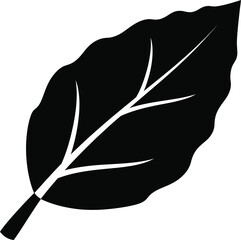 Leaf Silhouette Botanical Nature Vector