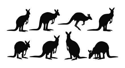 Silhouette illustrations of kangaroos in various poses and arrangements