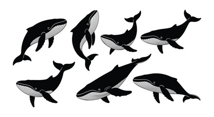 A collection of stylized whale illustrations in a black and white design © Begum