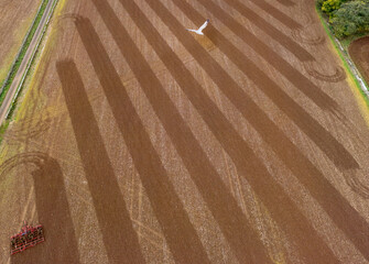 Aerial view of ploughed fields with parallel furrows create a rhythmic pattern, the tractor contrasting against the earth, Kingscote, Tetbury, England, United Kingdom.