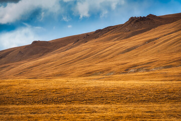 Golden rolling hills on wilderness during sunny day in Sary Jaz Valley, Kyrgyzstan