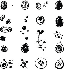 Monochrome Vector Illustration of Stylized Seeds, Nuts, Berries, and Fruits Depicted in Minimalist Silhouettes and Cross-Sections to Represent Botanical Diversity, Organic Nutrition, and Natural Food 