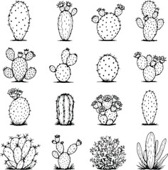 Monochrome Vector Illustration of Diverse Cactus Species Depicted in Minimalist Style Featuring Silhouettes and Line Art of Columnar, Pad-Like, and Flowering Cacti Representing Botanical Variety, 