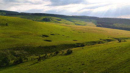 Obraz premium landscape with green grass and blue sky