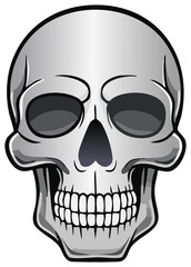 Fototapeta premium Stylized Human Skull with Detailed Teeth and Eye Sockets Vector Illustration