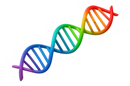 Dna double helix structure featuring a vibrant rainbow gradient, symbolizing genetics, science, and life, on a transparent background - Powered by Adobe