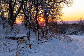 Snowy Forest Path with Bench at Winter Sunset, Rh&ouml;n Germany