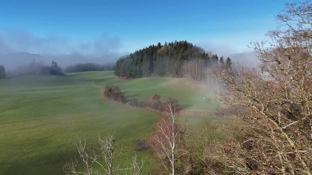 Epic forward drone flight over pristine alpine meadow with conifer forest and mountain pastures. Camera gliding smoothly above evergreen trees in stunning Bavarian Allgau landscape with scattered clou