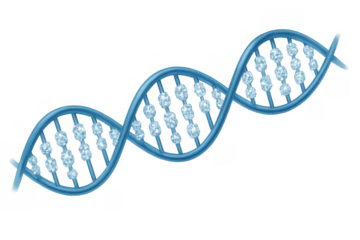 Dna helix structure forming a genetic molecule, illustrating medical science and biotechnology research on transparent background