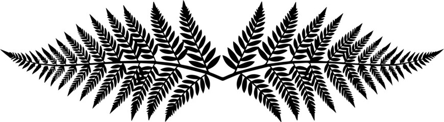 Symmetrical fern fronds in black and white creating a decorative botanical design element with sharp leaves